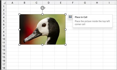 Insert Picture in-cell in     Excel three version two.jpg